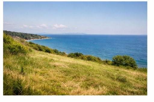 Lüleburgaz Yakını Verimli Tarla görseli (yer tutucu)